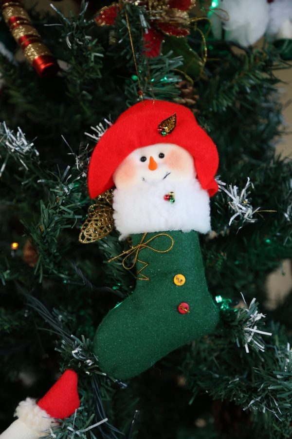 Bota Carita Nieve - Imagen 4